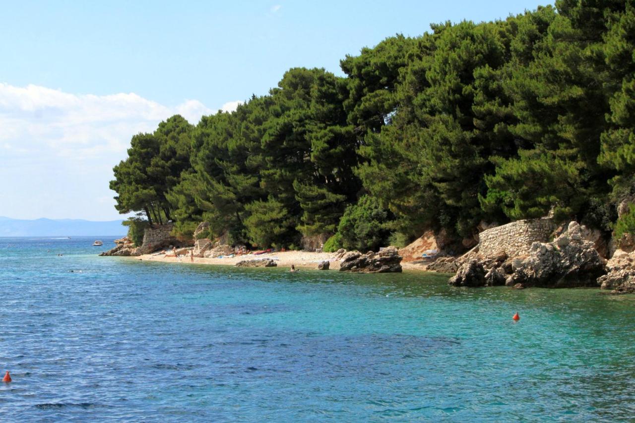 Apartments By The Sea Zivogosce - Mala Duba, Makarska - 2603 Apartment *